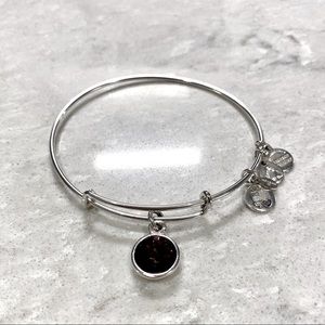 Alex and Ani Amethyst Birthstone Bracelet